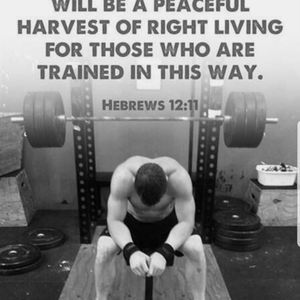 Meet your Posher, Joe